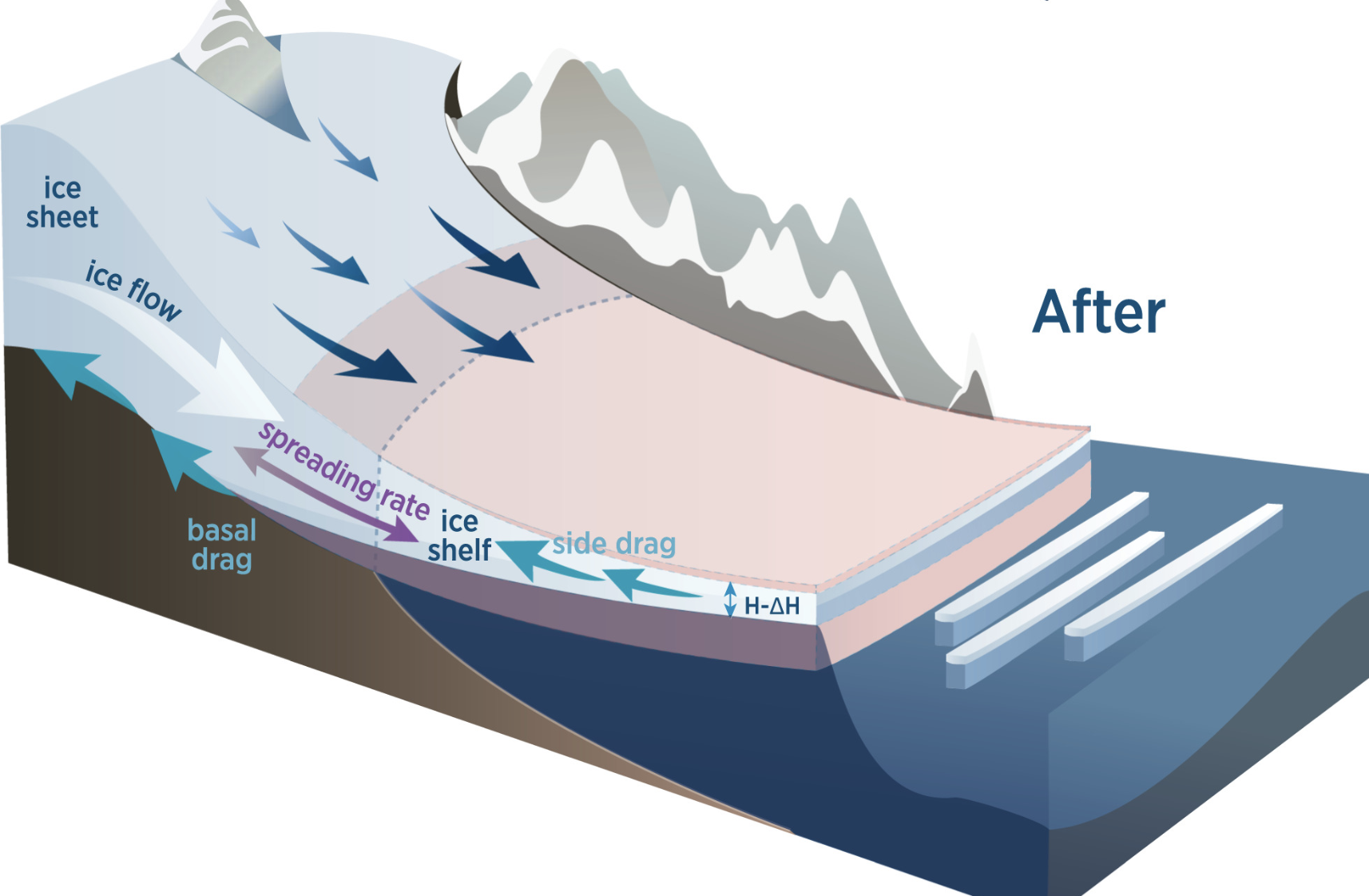Ice shelf dynamics