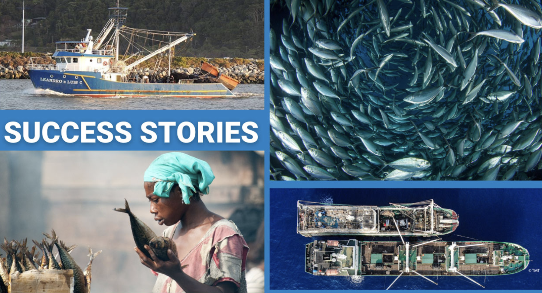 Open Ocean Project